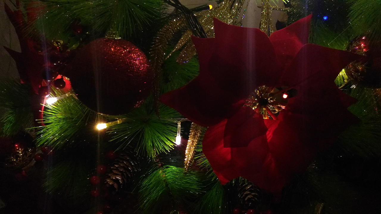 ASUS ZenFone 2 Laser 5.0 Test Shot