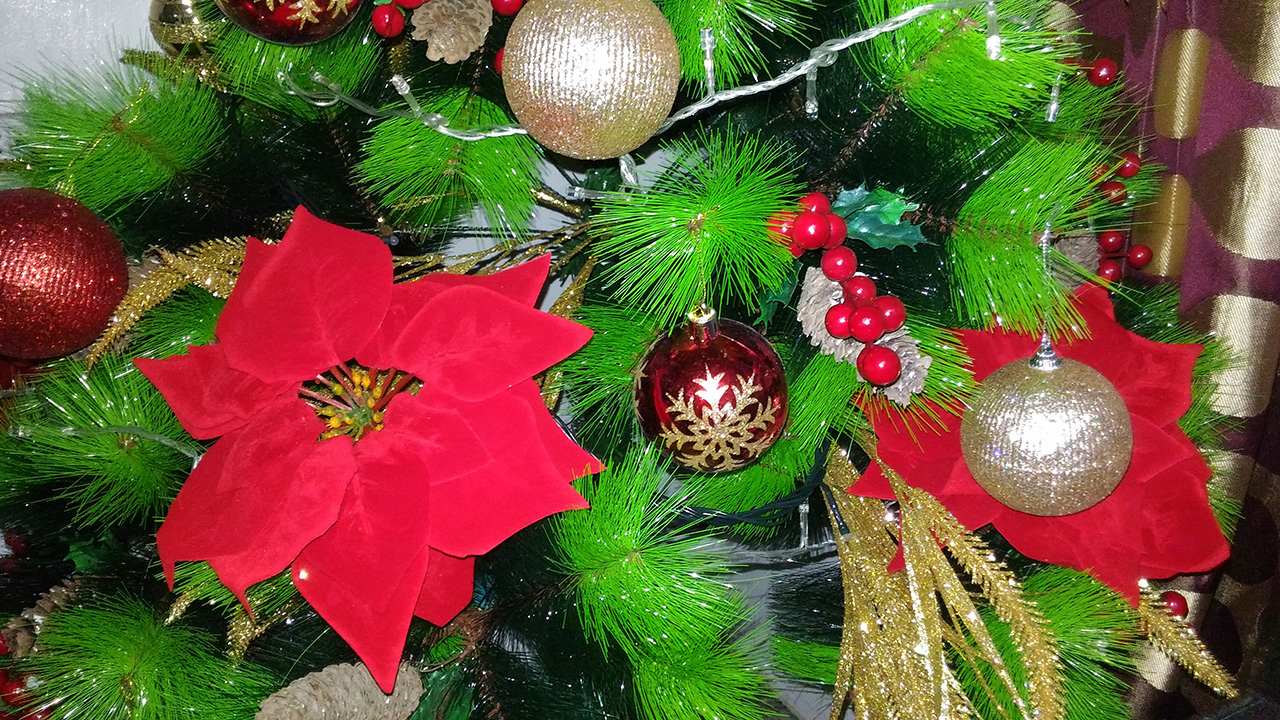 ASUS ZenFone 2 Laser 5.0 Test Shot